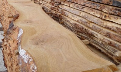 Top 4 Properties of Oak