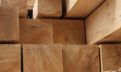 Understanding Tannins in Oak